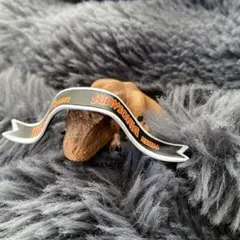 Item thumbnail for item db49f720-f066-4885-b3fb-61842726cea5