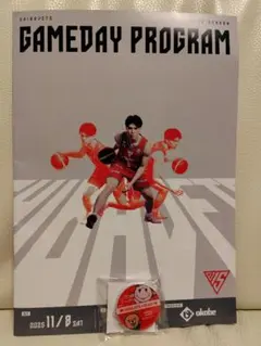 千葉ジェッツ バスケットボール