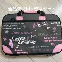 習字セット　新品未使用　⭐︎女の子⭐︎音符マーク　ピンク色