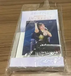 葉月紗蘭 チェキ 直筆サイン 入り 11.14 高嶺のなでしこ たかねこ 高嶺のなでしこ 葉月紗蘭 ウインター 2023 直筆サイン入り生写真