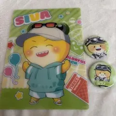 カラフルピーチ　シヴァ　下敷き＆缶バッジ