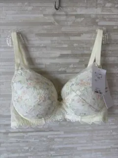 E70」トリンプ プレミアム レッドレーベル クチナシの花 ブラジャー