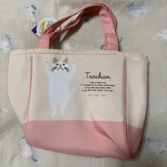 Item thumbnail for item ca74adac-f39c-4184-aaea-9f49c198f3d8