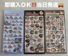 Item thumbnail for item db9ccba0-ae88-4df4-ac1b-65d022daff72