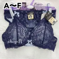 ディープカラーレースブラショーツセット(ネイビー)