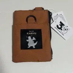 ポケモン　カイリュー　パスケース　シルエット
