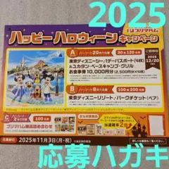 懸賞 プリマハム2025 ディズニー応募ハガキ台紙 用紙 10枚 ⑥
