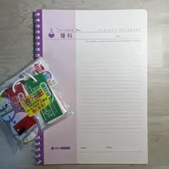 Item thumbnail for item 24e8b1f8-188c-42f9-b5a0-328bc14f3f79