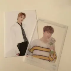 SEVENTEEN ディノ トレカ