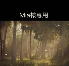 Mia様専用ページ