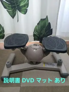 【美品】AEROLIFE コアビクサー　ツイストステッパー　エアロライフ