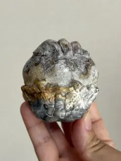 メキシコクレイジー瑪瑙 龍亀 ロングイ 置物