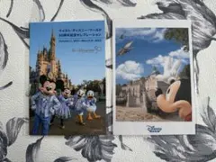 2026年最新】ディズニーワールド ポストカードの人気アイテム - メルカリ