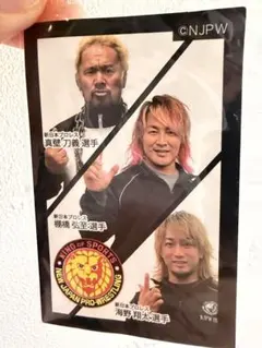 Item thumbnail for item ca64f7f0-0095-47d7-a0ce-525e8bde8911