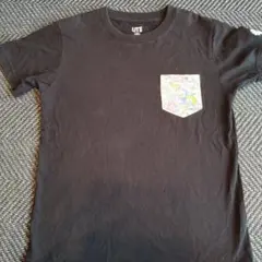 Item thumbnail for item 264682bb-c4fe-401f-aaa9-98237c6e94da