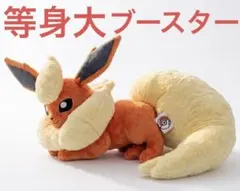ぬいぐるみ 等身大ブースター 寝そべり 新品未使用品 抽選販売】ぬいぐるみ 等身大ブースター 寝そべり ｜【公式】ポケモン