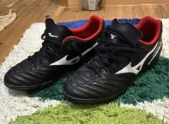 サッカー　モナルシーダネオ　トレーニングシューズ　24.5