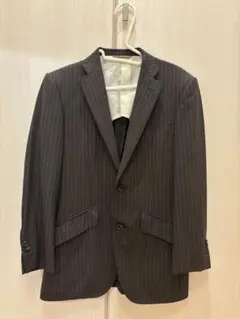 2025年最新】Ermenegildo Zegna 柄：ストライプ テーラードジャケット