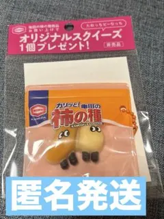 亀田製菓 亀田の柿の種 オリジナルスクイーズ 1個