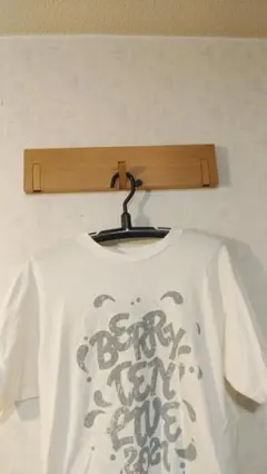 Item thumbnail for item 3f165925-f581-4340-8a20-faa08b0d4ce0