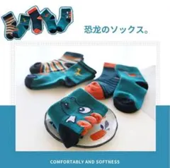 恐竜のソックス