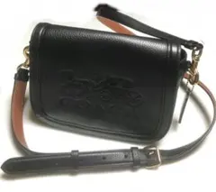 Item thumbnail for item 3587b199-9e90-4f7b-832e-7dbda467f4bb