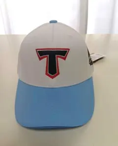 Item thumbnail for item 11e4b1f8-c11e-4193-80e9-96b0a512cae6