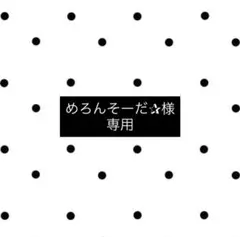 めろんそーだ✰︎様専用ページ