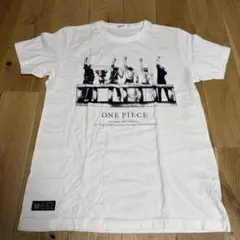 UNIQLO ユニクロ ONE PIECE ワンピース UT 専用ケース付き