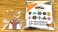 ハイキュー　トレーディングピンズ スクールアイコンA 和南