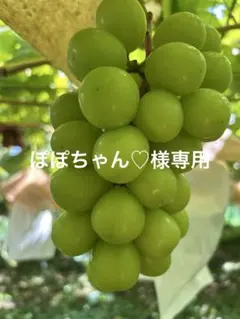 ぽぽちゃん♡様専用　17日