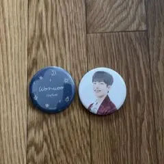 SEVENTEEN Wonwoo 缶バッジ 2種セット