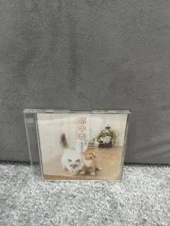 テゴマス 猫中毒 CD