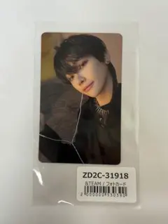 &TEAM Go in Blind 月狼 NICHOLAS トレカ ユニバ 特典