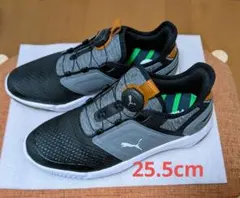 プーマ イグナイトエレベストゴルフシューズ