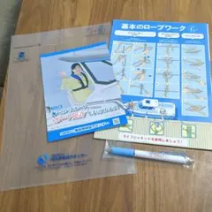 Item thumbnail for item 8ae15609-9d8f-4d9a-987b-16ada773958d