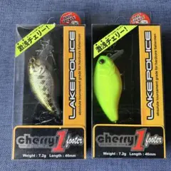 Item thumbnail for item a1a2cbf4-7e73-4b02-bfbe-cdf7128315ba