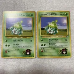旧裏】エリカのフシギダネ＆エリカのミニリュウ 2枚セット ポケモン