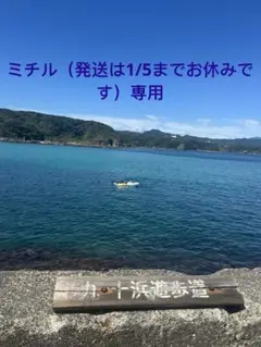 ミチル（発送は1/5までお休みです）専用　各1