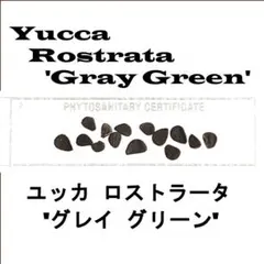 hotate147様 リクエスト 2点 まとめ商品