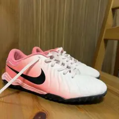 Item thumbnail for item d2ed0c07-feb3-4582-ba29-83020ebef5c4