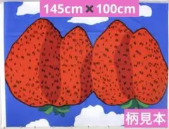 マリメッコ　生地　マンシッカヴォレット　いちご