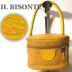 激レア イタリア製 IL BISONTE イルビゾンテ レザー バニティバッグ