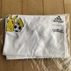 Item thumbnail for item 2ab55b08-1b3b-4897-a269-c4a84caf42f7