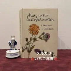 714①1957年チェコ果物図鑑 洋書古書 ジャンクジャーナル素材 ボタン