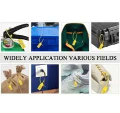 Item thumbnail for item 46a80a23-46b4-4345-affd-6a1260747c5a