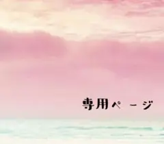 pichan様 リクエスト 2点 まとめ商品