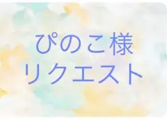 ぴのこ様 リクエスト 3点 まとめ商品