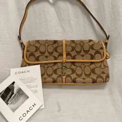 coach Signature Demi Clip pouch ワンショルダー