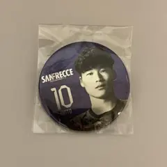 サンフレッチェ広島 ガチャ缶バッジ